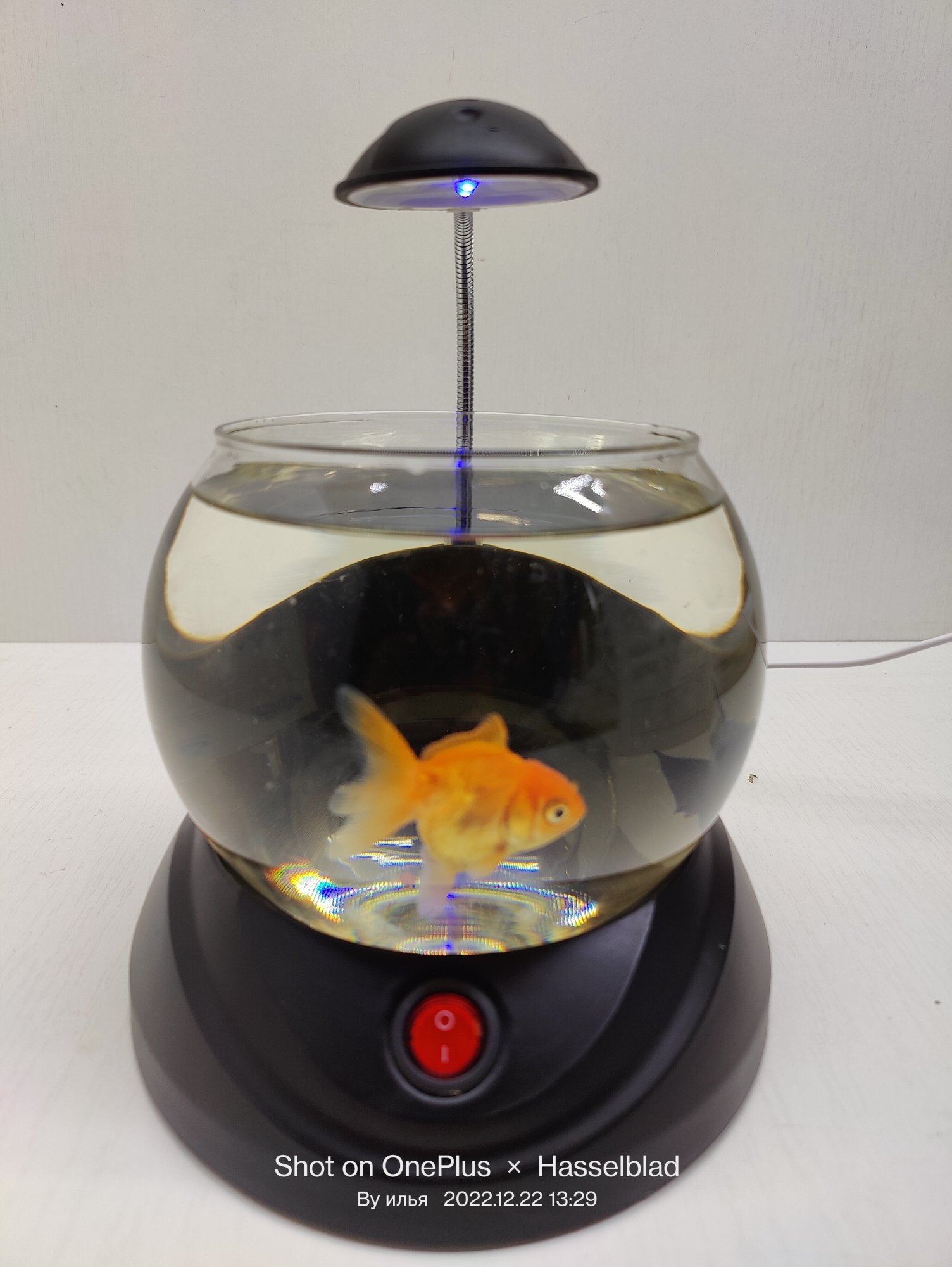 JENECA TG-02 чёрный, аквариум круглый 2л, 2w led (zelaqua) — изображение 2