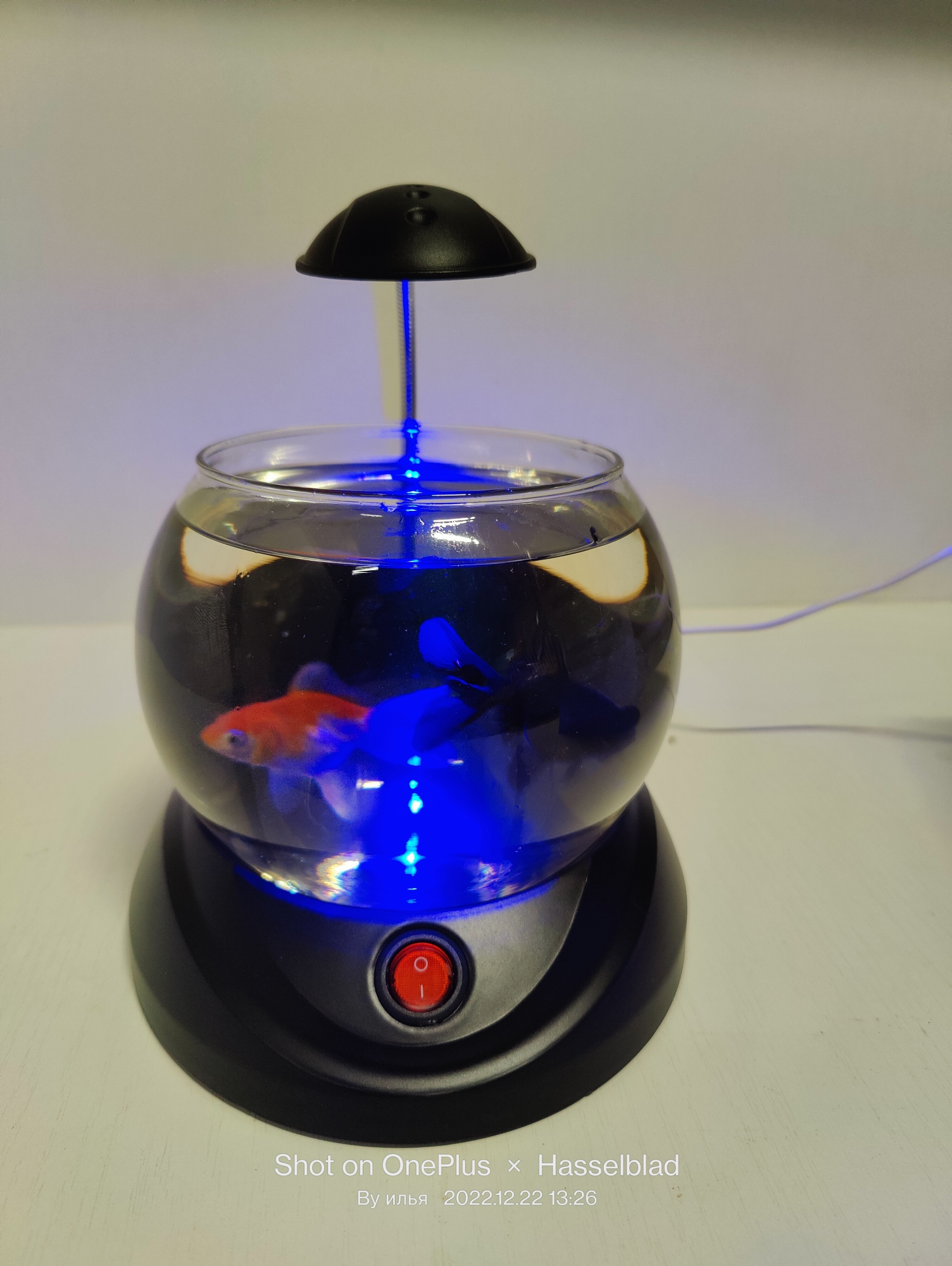 JENECA TG-02 чёрный, аквариум круглый 2л, 2w led (zelaqua) — изображение 8